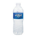 16.9 Oz. Purified Bottled Water